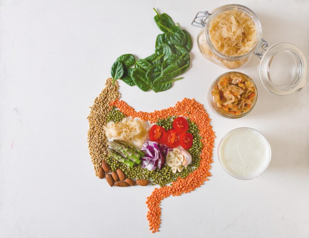 Vezelrijke prebiotische voeding zoals asperges, ui, knoflook en groenten ondersteunen een gezonde darmflora en voeden de goede darmbacteriën